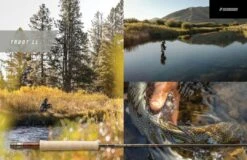 Sage Trout LL Half Welsh 4pc Fly Rod -VisVang Winkel 334f4d05 4d2d 442a 93c0 72f82ab12a54