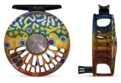 Abel TR DeYoung Brook Flank #2/3 Reel