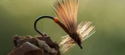 Ahrex FW503 Dry Fly Light Barbless -VisVang Winkel Ahrex FW503 Dry Fly Light Barbless AFW503 XX 503 1 2