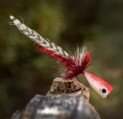 Ahrex PR354 Popping Skipping Bug -VisVang Winkel Ahrex PR354 Popping Skipping Bug APR354 XX 354 1 1