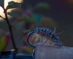 Ahrex SA274 Curved Salt Hooks 14 Ahrex SA274 Curved Salt Hooks -VisVang Winkel Ahrex SA274 Curved Salt Hooks SA274 XXX week47 02 1024x825 1