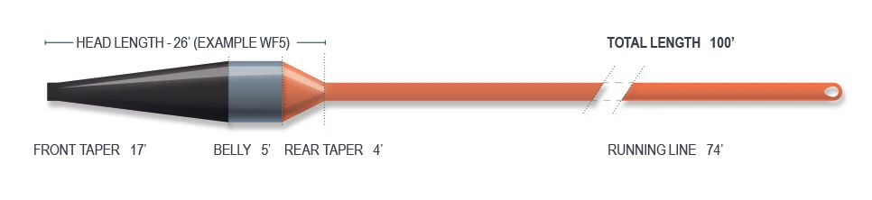 Airflo Streamer Max Short Sinking Head With Floating Running Fly Line 3 Airflo Streamer Max Short Sinking Head With Floating Running Fly Line - Afbeelding 3