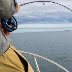 Cortland Cold Salt Striped Bass Fly Line -VisVang Winkel Cortland Cold Salt Striped Bass Fly Line CORTCOLDSALTLINE XXX stripedbasssink8 1100x