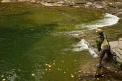 Cortland Euro Nymph Mono Core Fly Line -VisVang Winkel Cortland Euro Nymph Line Mono Core D340013 XX euronymph 5232aa45 420b 406e af1c f249a2a18e02 960x