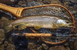 Douglas Sky G Fly Rod -VisVang Winkel Douglas Sky G Fly Rod DOUGLASSKYG XXX 1schermafbeelding 2023 01 11 om 11.53