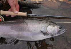 Douglas Sky G Fly Rod -VisVang Winkel Douglas Sky G Fly Rod DOUGLASSKYG XXX 4schermafbeelding 2023 01 11 om 11.54