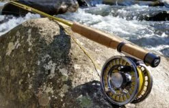 Douglas Upstream Fly Rod 24 Douglas Upstream Fly Rod -VisVang Winkel Douglas Upstream Fly Rod NFD607 XXX 1schermafbeelding 2023 01 11 om 11.50