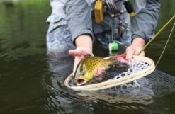 Douglas Upstream Fly Rod 25 Douglas Upstream Fly Rod -VisVang Winkel Douglas Upstream Fly Rod NFD607 XXX schermafbeelding 2023 01 11 om 11.50