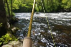 Douglas Upstream Plus Fly Rod -VisVang Winkel Douglas Upstream Plus Fly Rod NFD615 XXX schermafbeelding 2023 01 11 om 11.47