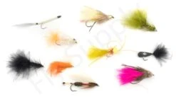 Euro Flies Access Allround Trout & Perch Complete Set #6 - 9ft -VisVang Winkel Euro Flies Access Allround Trout Perch Complete Set 6 9ft EF ACCSET 6 9ft dsc06392