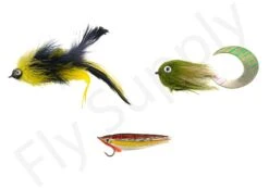 Euro Flies Explorer Predator Pike & Seabass Complete Set #8 - 9ft -VisVang Winkel Euro Flies Explorer Predator Pike Seabass Complete Set 8 9ft EF EXPLSET 8 90ft dsc00470 bewerkt