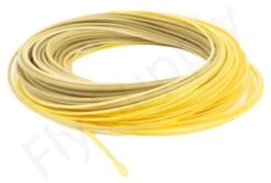 Euro Flies Presentation WF Floating Fly Line -VisVang Winkel Euro Flies Presentation WF Floating Fly Line EF WFPRES XXX dsc06447 bewerkt