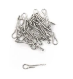 Fish Skull Articulated Fish Spine 12 Fish Skull Articulated Fish Spine -VisVang Winkel Fish Skull Articulated Fish Spine D2304201 X dsc08297 bewerkt