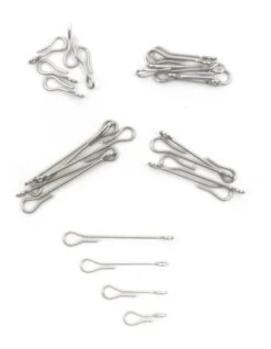 Fish Skull Articulated Fish Spine 15 Fish Skull Articulated Fish Spine -VisVang Winkel Fish Skull Articulated Fish Spine D2304201 X dsc08319 bewerkt 2