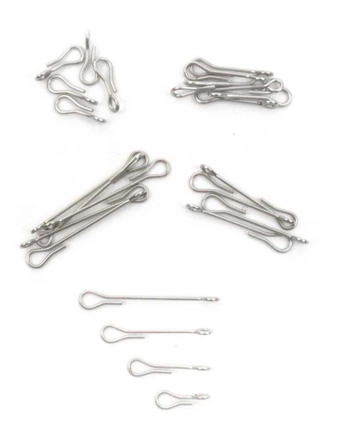 Fish Skull Articulated Fish Spine 8 Fish Skull Articulated Fish Spine - Afbeelding 8