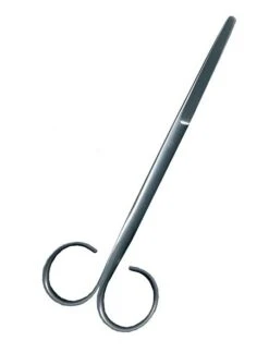 Petitjean Large Straight Scissors