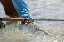 Redington Predator II Fly Rod -VisVang Winkel Redington Predator II Fly Rod 05 851 XX knipsel4