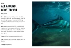 SAGE Salt R8 Fly Rod -VisVang Winkel SAGE Salt R8 Fly Rod 03 17 XXX 15