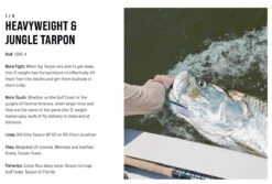 SAGE Salt R8 Fly Rod -VisVang Winkel SAGE Salt R8 Fly Rod 03 17 XXX 17