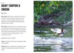 SAGE Salt R8 Fly Rod -VisVang Winkel SAGE Salt R8 Fly Rod 03 17 XXX 9