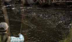 SAGE Sense Fly Rod -VisVang Winkel SAGE Sense Fly Rod SAGESENSEROD XXX sense tube2