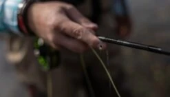 SAGE Sense Fly Rod -VisVang Winkel SAGE Sense Fly Rod SAGESENSEROD XXX sense tube4