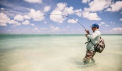 Sage Maverick Fly Rod -VisVang Winkel Sage Maverick Fly Rod 03 54XXXX maverick 3