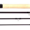 Thomas & Thomas DNA Switch Fly Rod