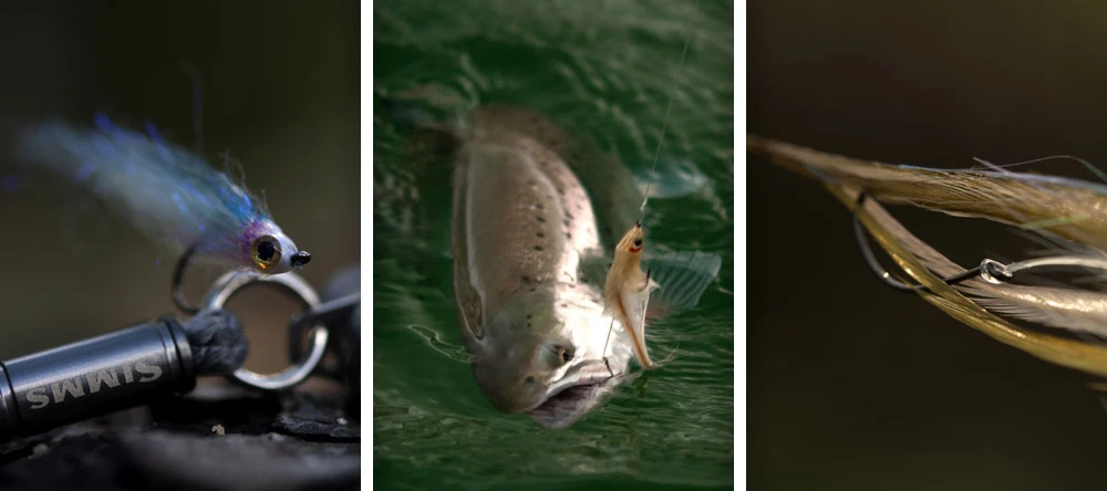 Ahrex NS182 Trailer Hooks 2 Ahrex NS182 Trailer Hooks - Afbeelding 2