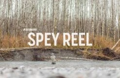 Sage Spey Fly Reel -VisVang Winkel spey6